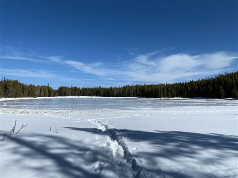 Bierstadt Lake Trail In Rocky Mountain National Park Hiking Guide