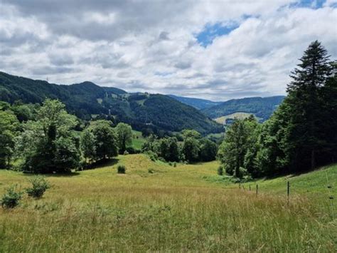 Best Hikes And Trails In Doubs Regional Nature Park Alltrails