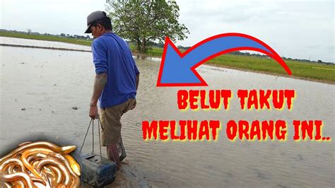 Gak Pakai Lama Dapat Banyak Belut Tangan Skil Dewa Menangkap Belut