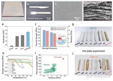 南方科技大学and中国科学院院士俞书宏团队合作报道了一种基于马尾藻纤维素的餐具用仿生结构材料 知乎