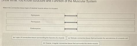 Solved: Show What You Know-Structure and Function of the Muscular ...