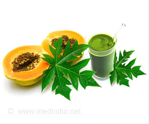 How does papaya leaf extract increase platelets? | Papaya leaf extract