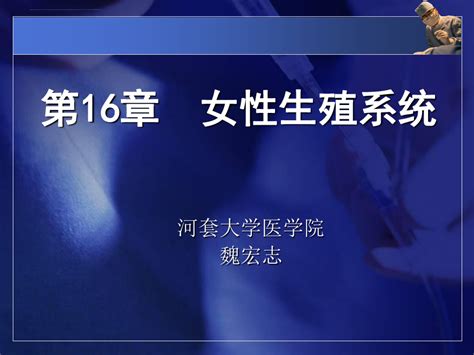 人体解剖组织及胚胎学女性生殖系统ppt课件word文档免费下载亿佰文档网