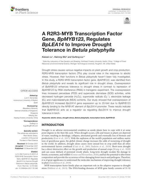 Pdf A R2r3 Myb Transcription Factor Gene Bpmyb123 Regulates Bplea14