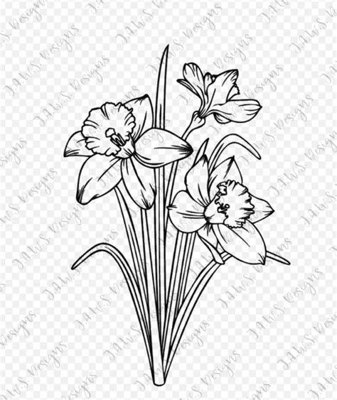 Narcissus Daffodil Svg Png Cut File for HTV / Vinyl / Cutting - Etsy