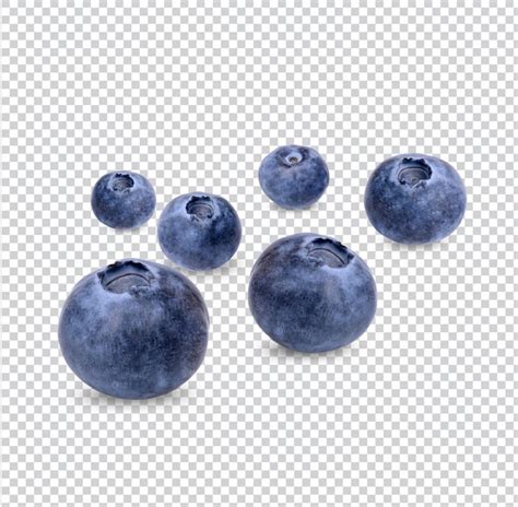 Premium Psd Fresh Blueberry Isolated Premium Psd