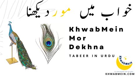 Khwab Mein Mor Dekhna Ki Tabeer In Hindi Urdu Khwabmein