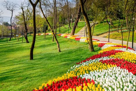 Traditional Tulip Festival In Emirgan Park In Istanbulturkey Stock