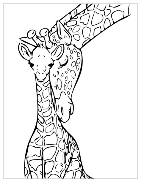 Unique Girafe Coloriage A Imprimer Haut Coloriage Hd Images Et Porn