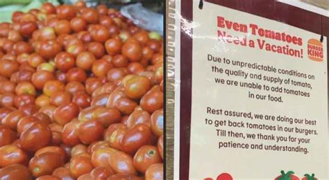 Burger King India Cuts Tomatoes From Menu As Roya News