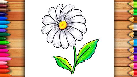 How To Draw Daisy Flower Easily Daisy Drawing For Beginners Easy