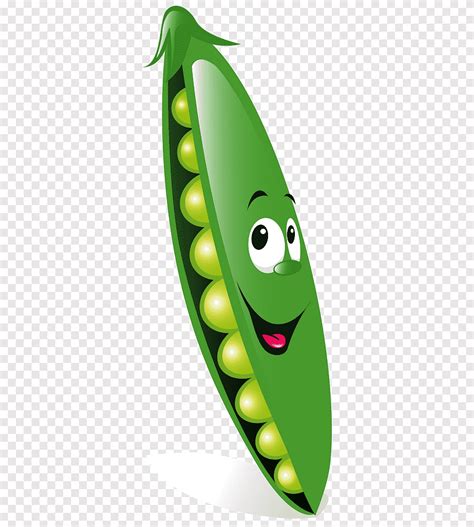 Single Green Bean Clip Art