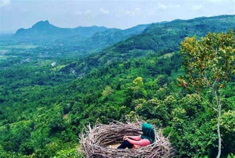 Yuk Liburan Keluarga Di Tulungagung Ada Banyak Pilihan Wisata Selain