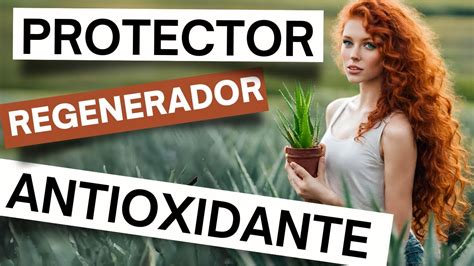 Transforma Tu Salud Con El Secreto Del Aloe Vera Descubre Sus