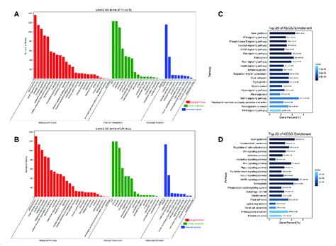 Functional Annotation Analysis Of The Target Genes Of DEmiRNAs A GO