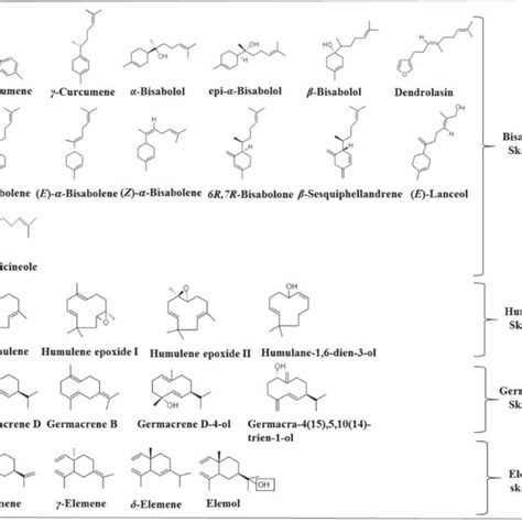 Types Of Primary Cyclization Of γ Curcumene And β Curcumene Download