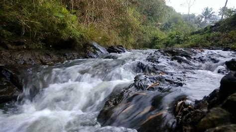 Terbaru Background Air Mengalir Di Sungai Natural Youtube