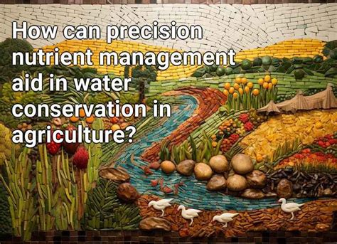 How can precision nutrient management aid in water conservation in ...