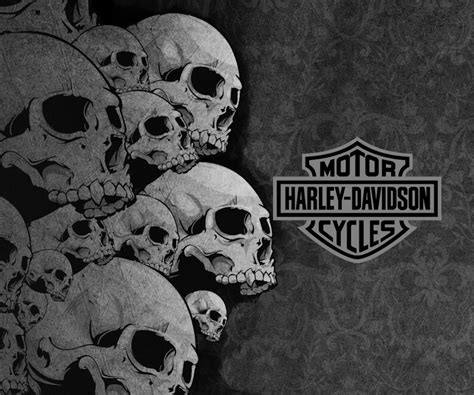 🔥 50 Harley Skull Wallpapers Wallpapersafari