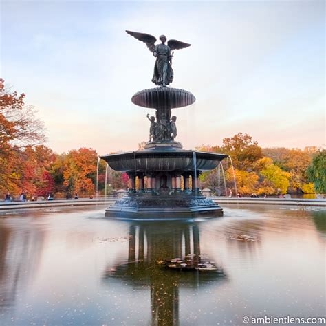 Bethesda Fountain Golden Autumn 1 (SQ) – Ambient Lens