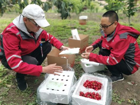 解决物流难题建设品牌，电商平台花式助力四川农产品出川