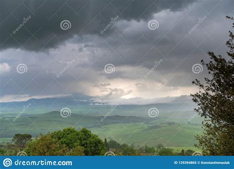 Tuscany Rural Landscape Countryside Farm Cypresses Trees Green