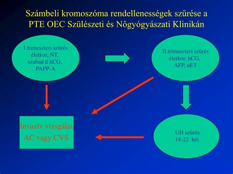 Ppt Genetikai Tan Csad S Prenat Lis Diagnosztika Powerpoint