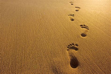 Royalty Free Footprint Pictures Images And Stock Photos Istock