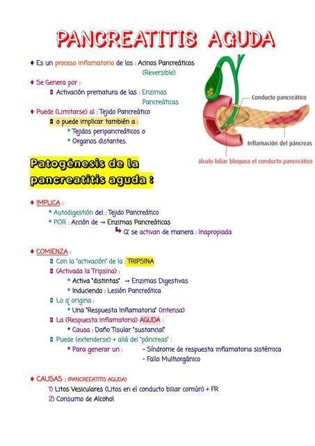 Pancreatitis Aguda Apuntes Med UDocz