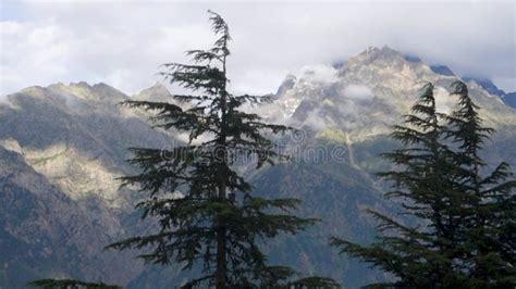 Reckong Peo, Kalpa Valley, Himachal Pradesh, India: Majestic Snow ...