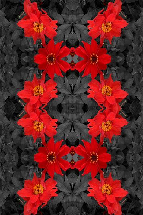 Stock images — 660×990, 660×1100, 660×1188 — Flowers — 88 — wasaweb.net