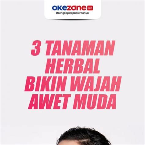 3 Tanaman Herbal Bikin Kulit Sehat Dan Wajah Awet Muda 0 Foto Okezone