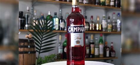 Campari Vs Vermouth: Which Aperitif Reigns Supreme? (2024)