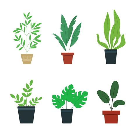 Vector Organic Flat Houseplant Collection Vector Art At Vecteezy