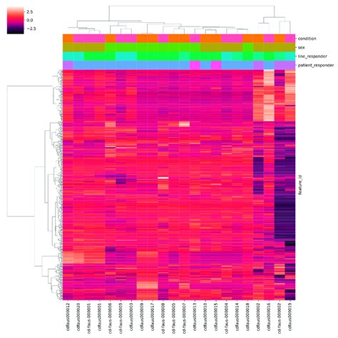 Hierarchical Clustering And Heatmap Of The 500 Most Variable Genes The Download Scientific