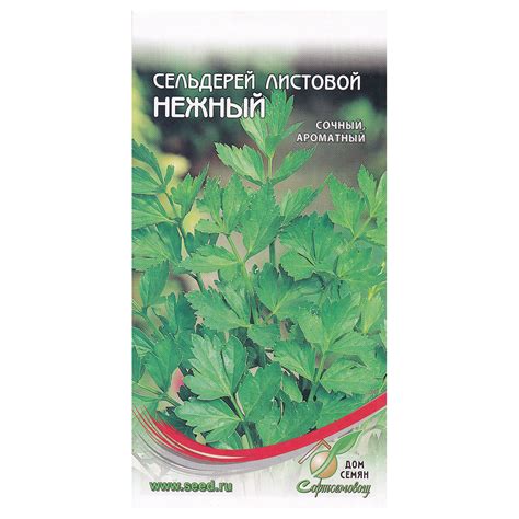 "Дом семян" Семена Сельдерей Нежный листовой 130 шт 21432 купить за 35 ...