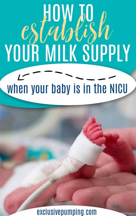 Survival Guide For Pumping In The Nicu Exclusive Pumping