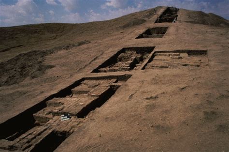 Research Sector S Archaeological Expedition To Tell Arbid