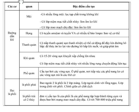 Phân Biệt Cấu Tạo Chức Năng Của động Mạch Với Tĩnh Mạch Giúp Gấp Mai Thi Rồi