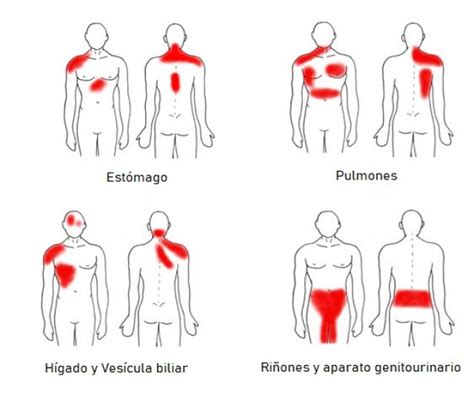 Dolor de origen visceral Qué es y cómo se identifica