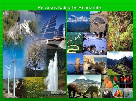 Recursos Naturales Usos Y Manejos