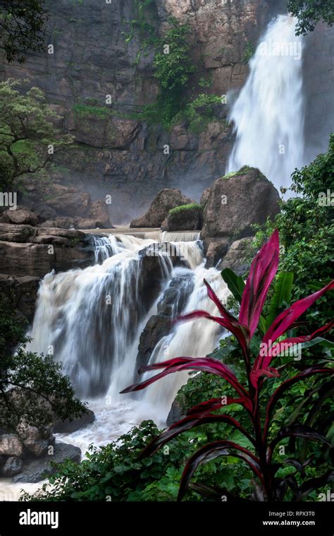 Waterfall in a Ciletuh-Palabuhanratu geopark, West Java, Indonesia Stock Photo - Alamy