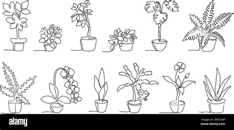 One Continuous Line Potted Plants Home Decor Plants In Cute Pots Hand