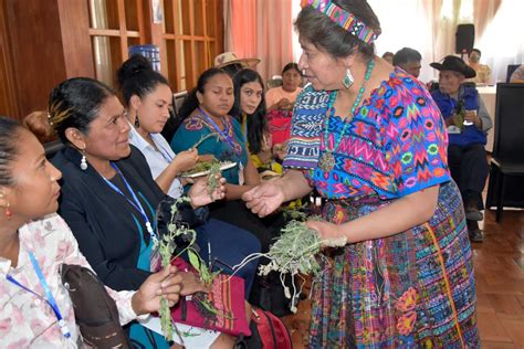 Guatemala Desarrolla Norma Con Pertinencia Cultural Para El Reconocimiento De La Medicina