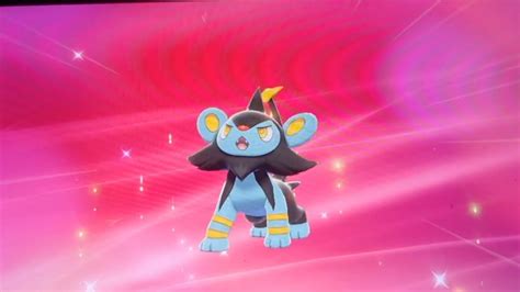 How To Evolve Your Shinx Into Luxio In Pokemon Sword And Shield YouTube