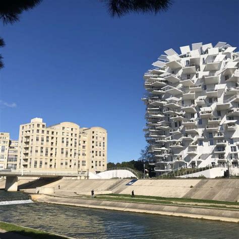 El Rbol Blanco Montpellier Turismo