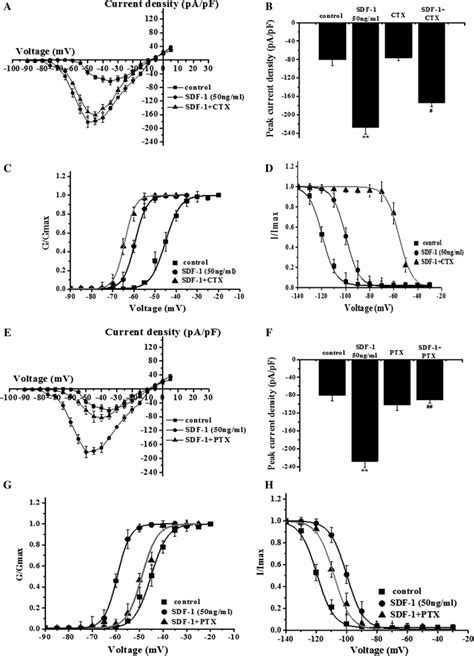 Involvement Of Gi O But Not Gs Proteins In SDF 1 Induced Potentiation