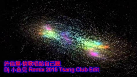 许佳慧 情歌唱给自己听 Dj 小魚兒 Remix 2015 Tsang Club Edit Youtube