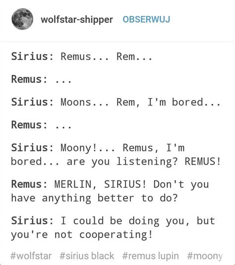 Pin By The Lillshaggy On Wolfstar Gay Harry Potter Harry Potter Memes Hilarious Harry Potter