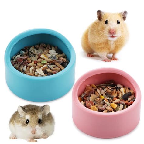 Hamster Food Bowl